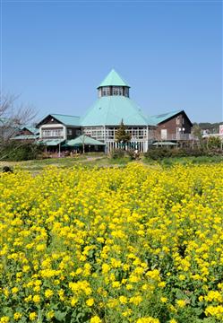 道の駅 とみうら
枇杷倶楽部　提供:(公社)千葉県観光物産協会